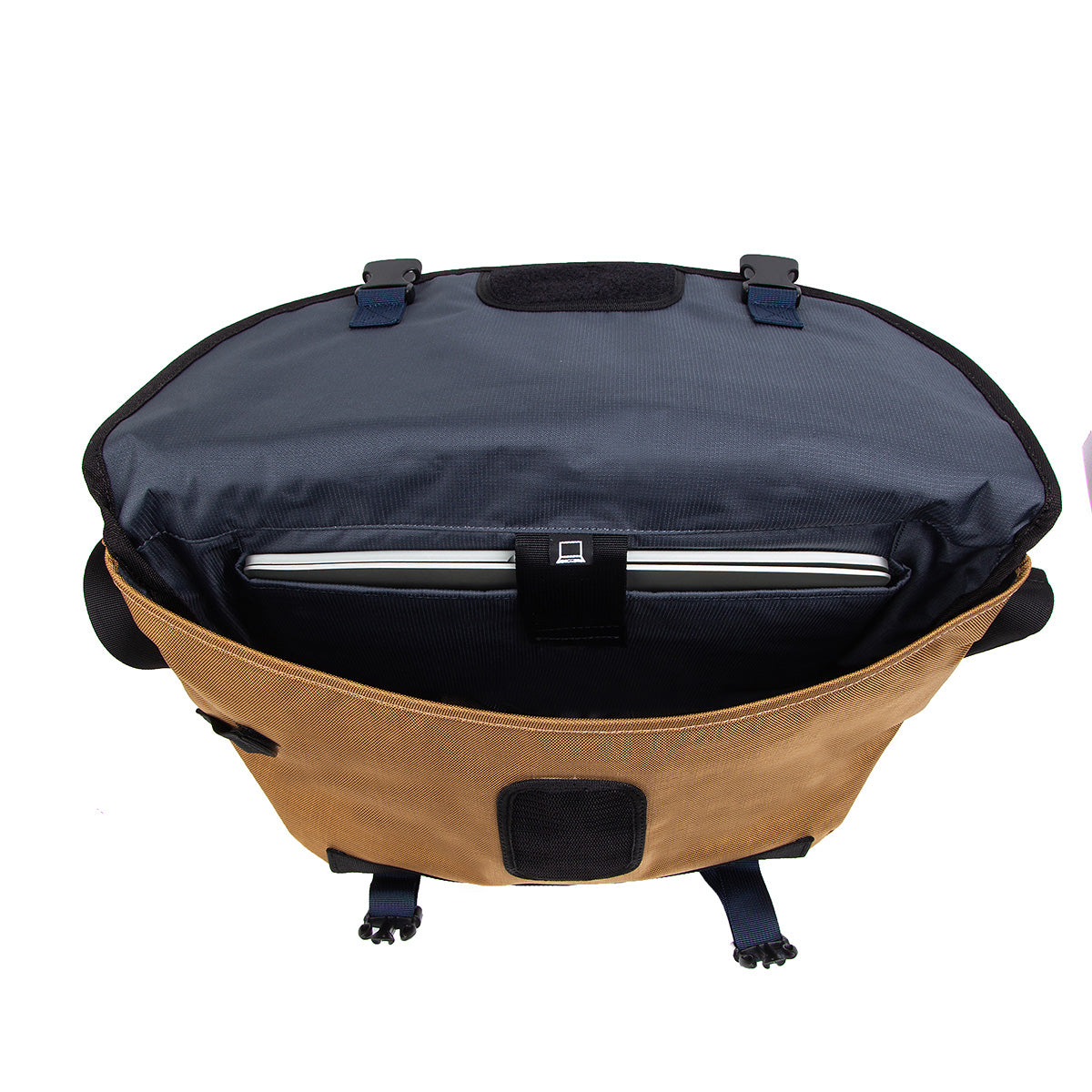 Dinky Di Companion 13"