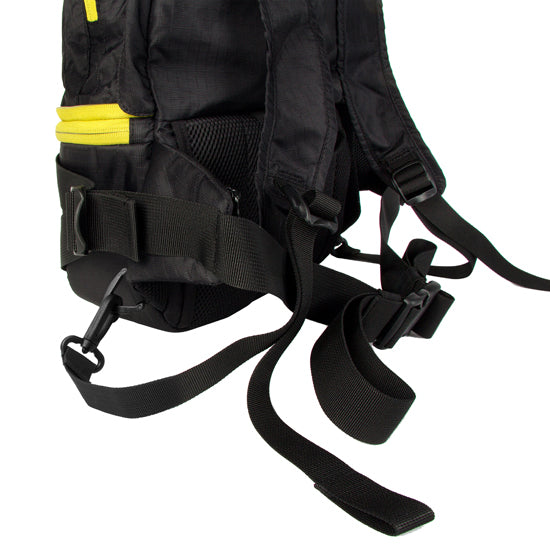 Light Delight Foldable Backpack